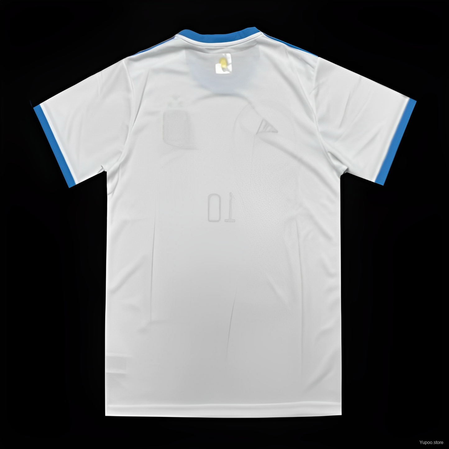 3 Stars Argentina White Training Jersey