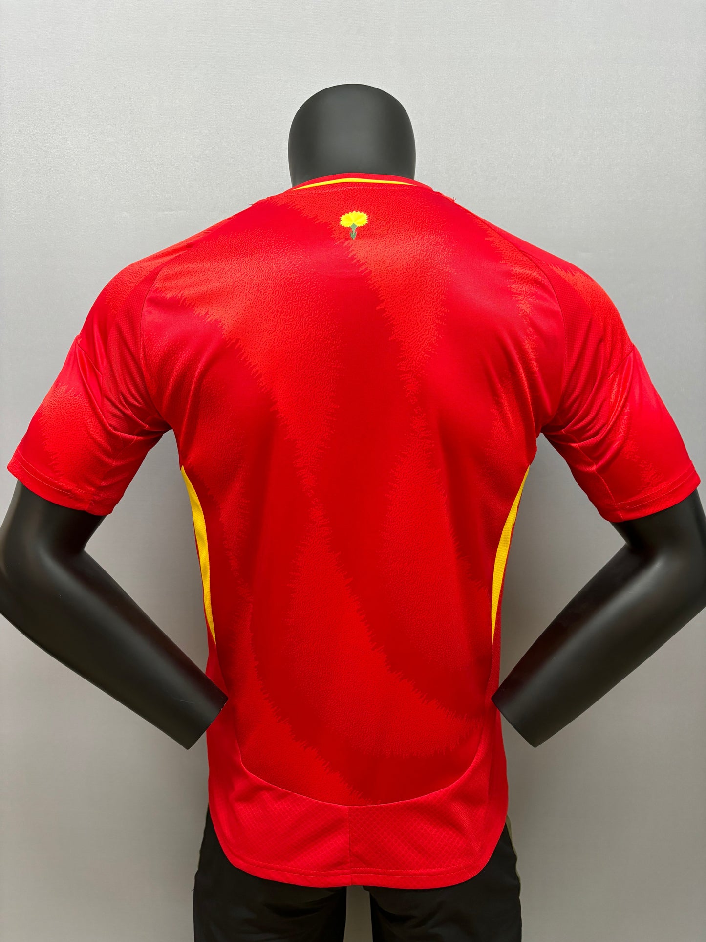 Spain home