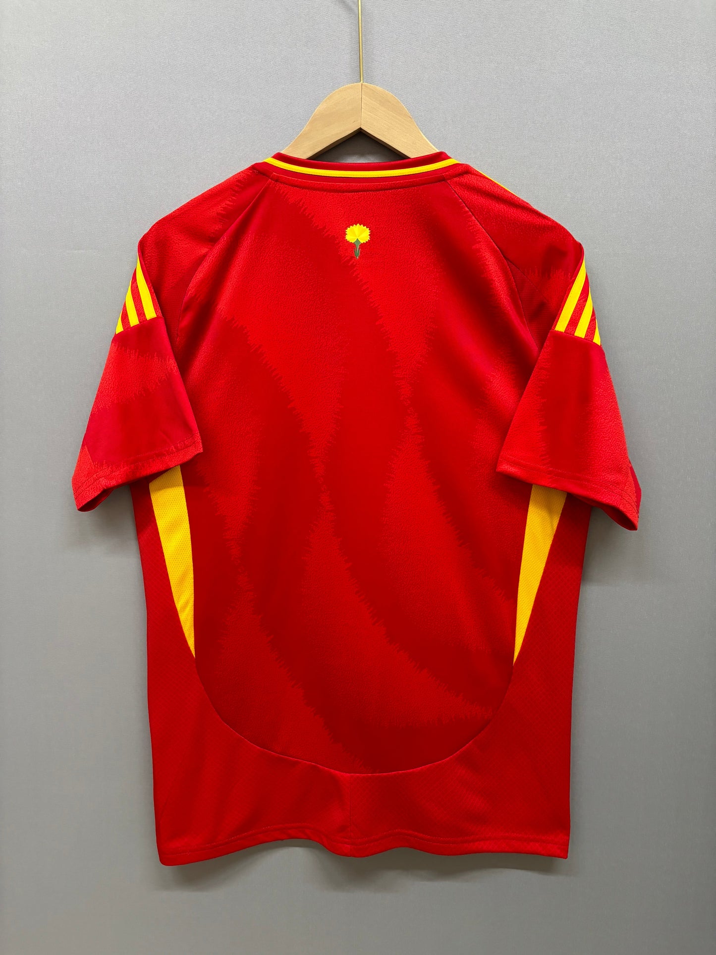 Spain home